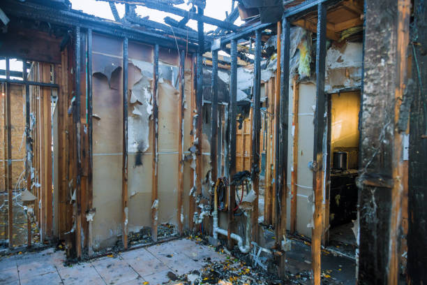Professional Fire Damage Assessment technician working in Anna Maria, FL