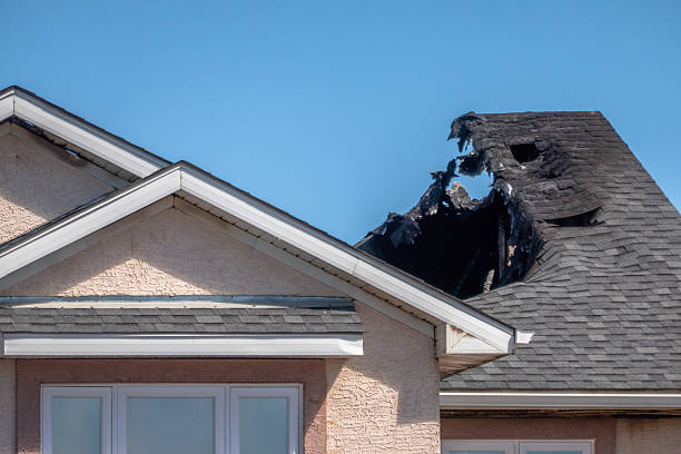 Top rated local Fire Damage Assessment specialists in Anna Maria, FL